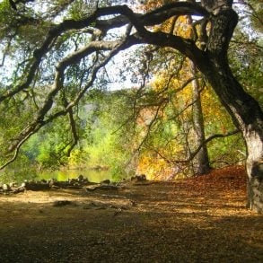 Two Poems by Lois P. Jones