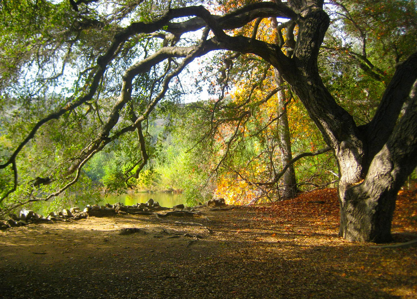 Two Poems by Lois P. Jones