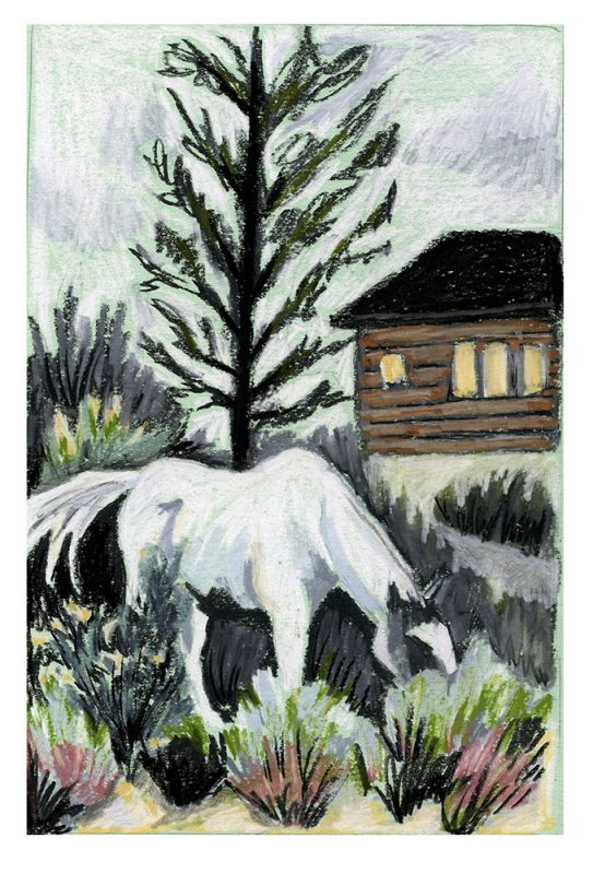 Horse and cabin. Image by Martha Park.