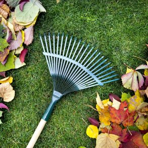 Old Roads, New Stories: Poems as Rakes, by Rob Carney