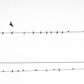 Four Poems by Kim Stafford