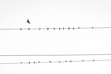 Four Poems by Kim Stafford