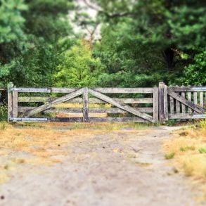 Letter to America: Poem by Robert Morgan