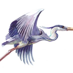 Three Meditations by Amie Whittemore