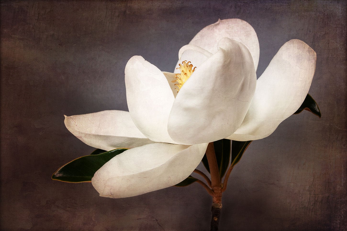Two Poems by Eric Pankey