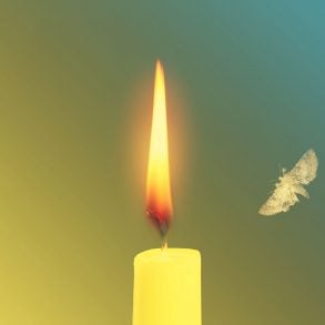 Four Poems by Cody Todd