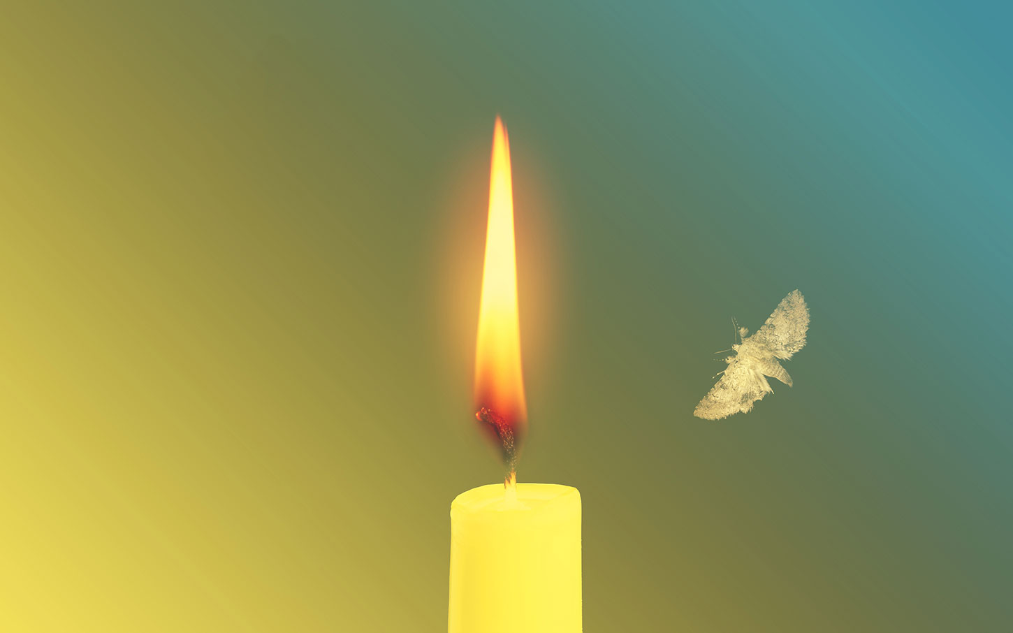 Four Poems by Cody Todd