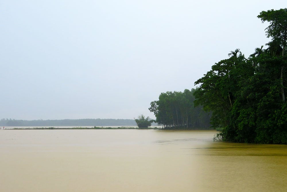 Paddy fields submerged
