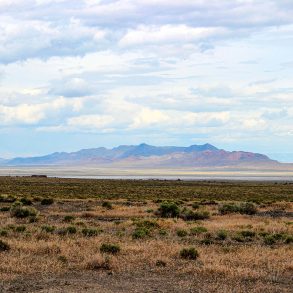 Pilgrimage to the Pointy-Toed Boots, by Michael P. Branch
