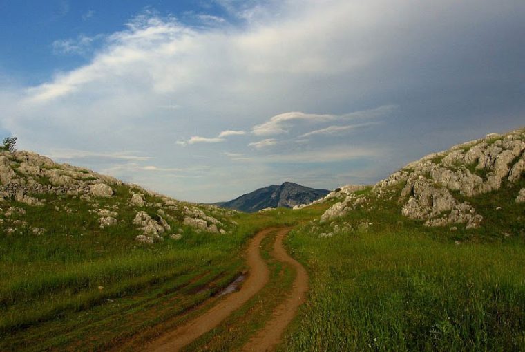 Path through the Karst country. Photo by Julian Hoffman.