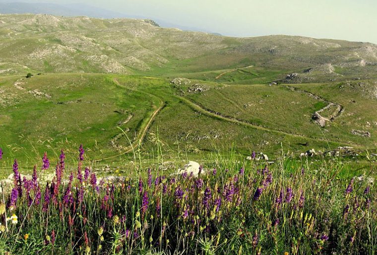 Paths through the Karst country. Photo by Julian Hoffman.