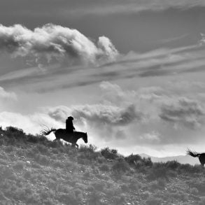 Lolo in the Mountains, by Maya Mahony