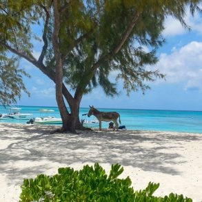 Saltworks, by Cherene Sherrard