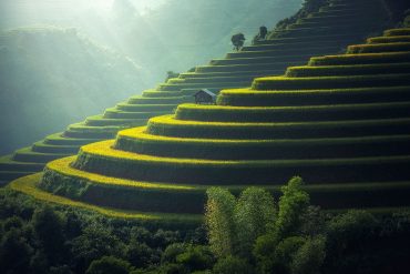 Agricultural steppes in Asia
