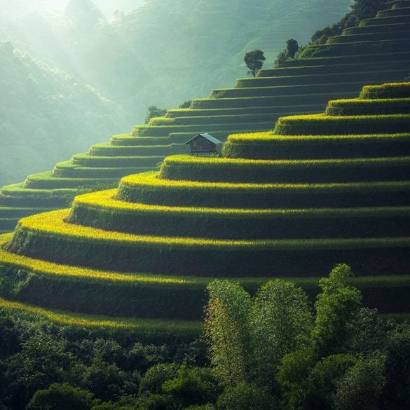 Agricultural steppes in Asia