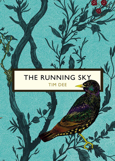 The Running Sky, by Tim Dee