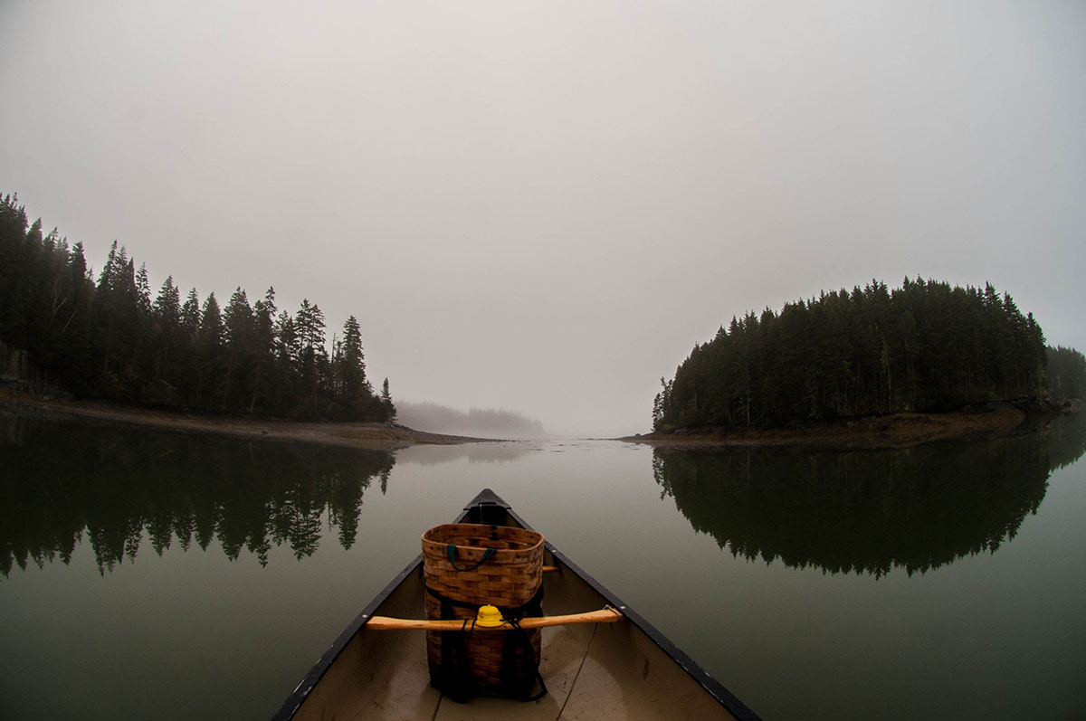 Photograph by Peter Forbes.