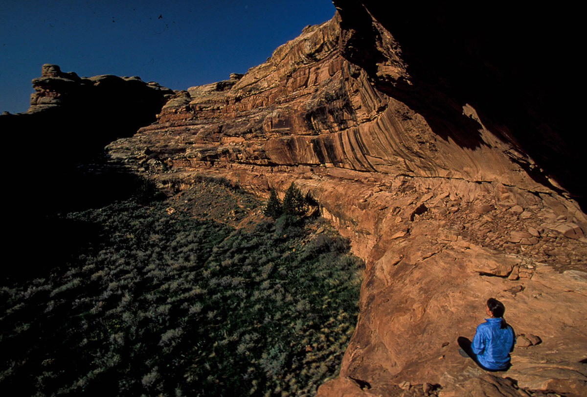 Photograph by Peter Forbes.