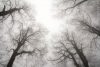 Letter to America: Poem by Nathanael Tagg