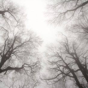 Letter to America: Poem by Nathanael Tagg