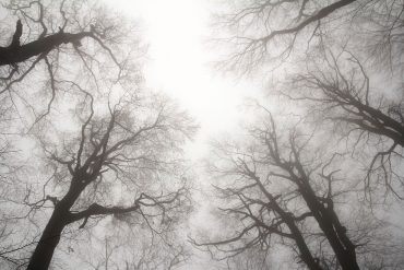 Letter to America: Poem by Nathanael Tagg