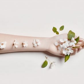Karen Whalley reviews Not into the Blossoms and Not into the Air, poems by Elizabeth Jacobson