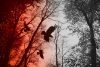 Like a Crow, an Excerpt by Kim Eisele