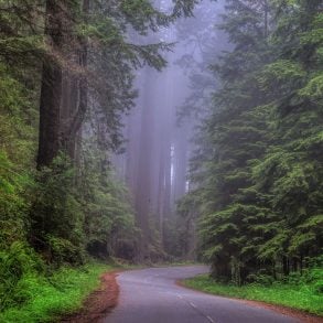 Letter to America by Rachel Richardson