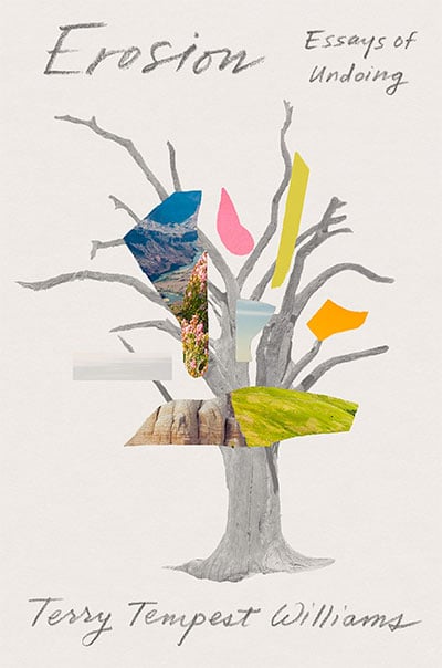 Erosion, by Terry Tempest Williams