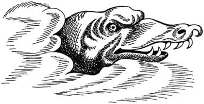 Crocodile