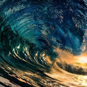 Until the Seas Rise, by Anita Felicelli