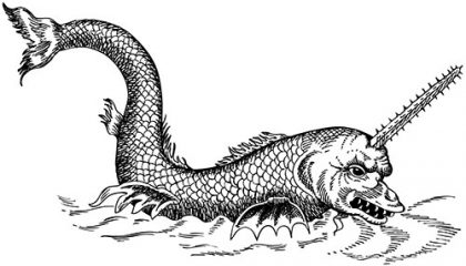Narwhal
