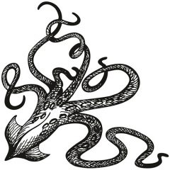 Squid