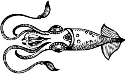 Squid