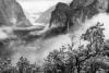 The Influence of Art at Yosemite by James McGrew