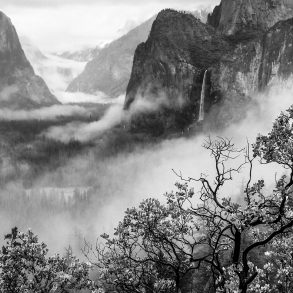 The Influence of Art at Yosemite by James McGrew