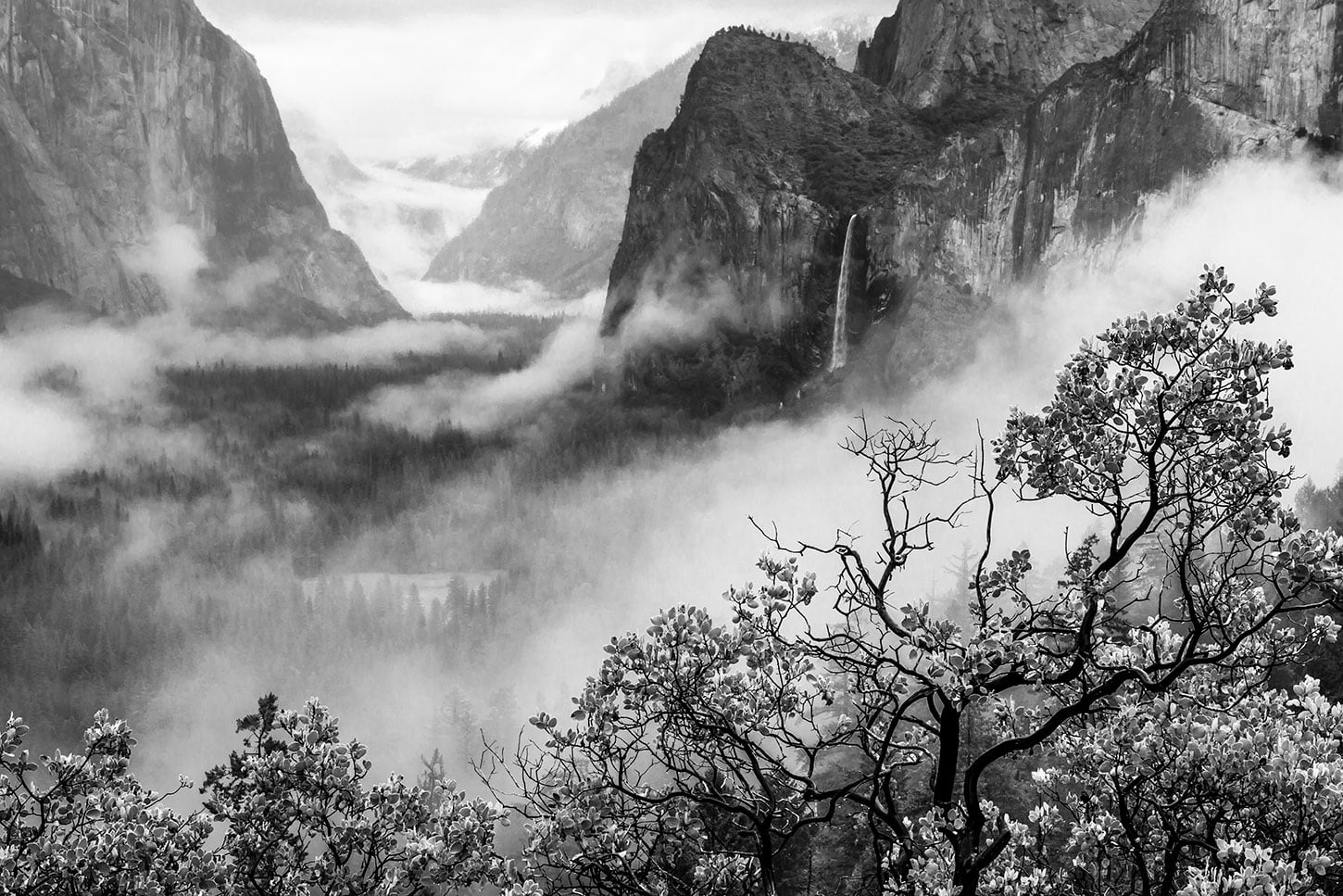 The Influence of Art at Yosemite by James McGrew