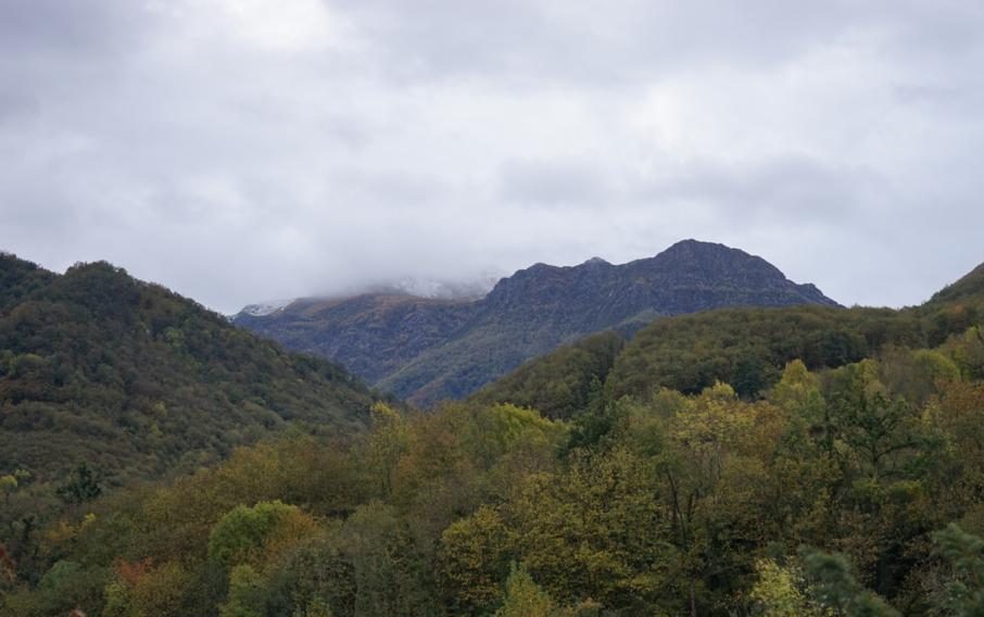 Rain clouds form over the forest. In the mountain, it starts to snow. Photo by Paulina Jenney.