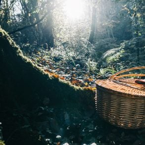 Aquí se come bien: A Magüestu, by Paulina Jenney