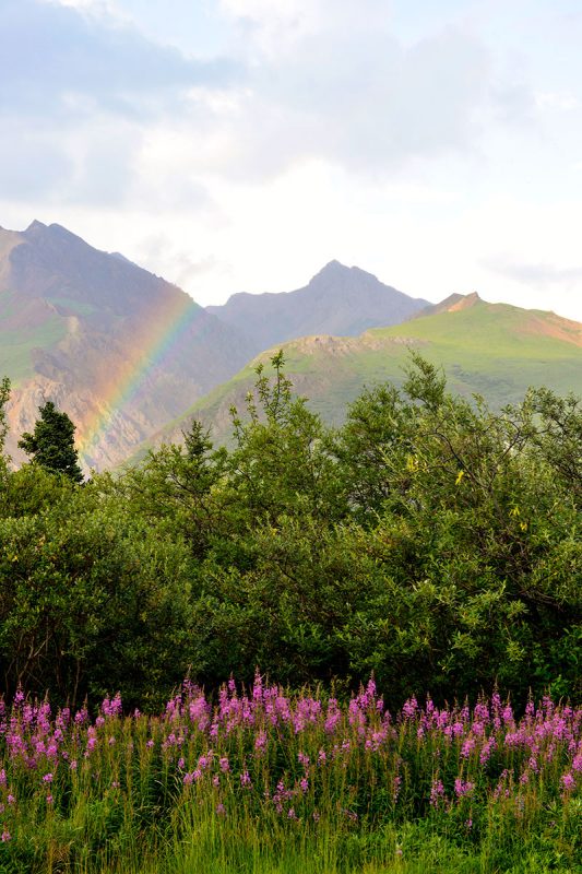 Rainbow