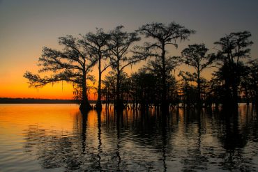 Louisiana coast at sunset