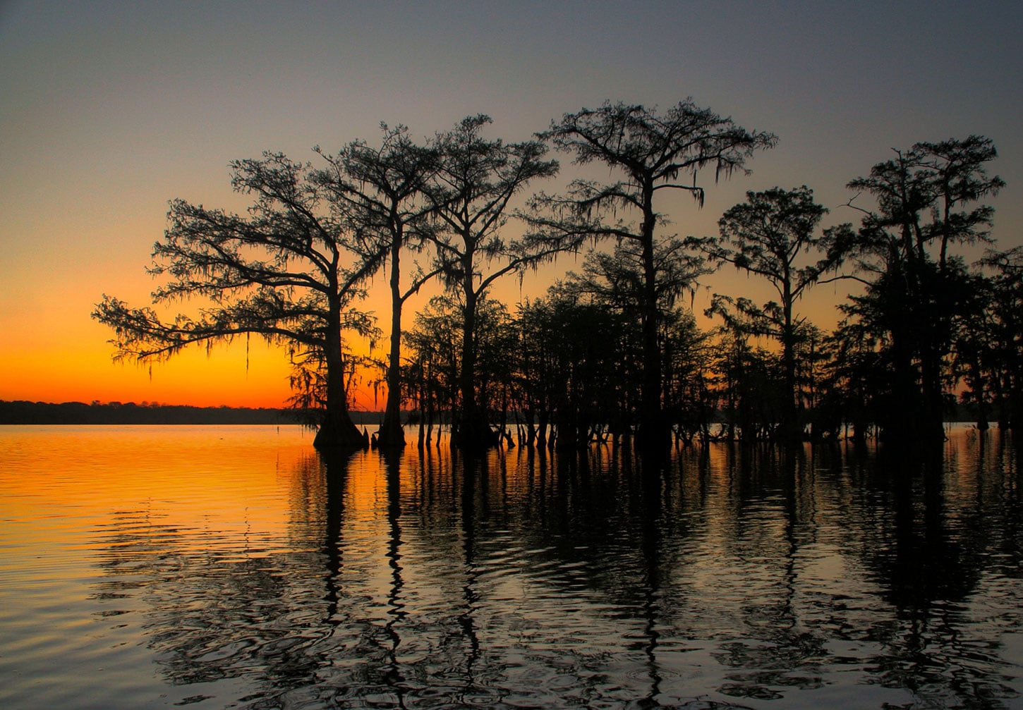 Louisiana coast at sunset