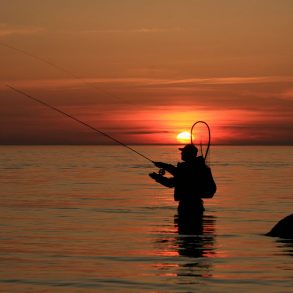 Fly fishing at sunset