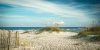 North Carolina coast with dunes