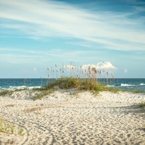 North Carolina coast with dunes