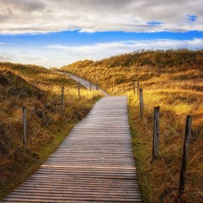 Walkway over the dunes at a beach