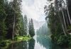 River, forest, and mountain