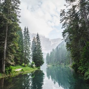River, forest, and mountain