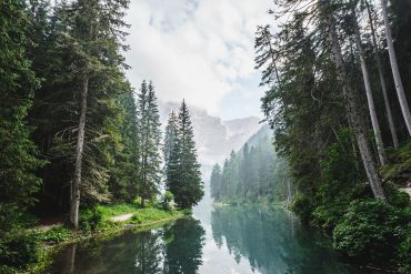 River, forest, and mountain