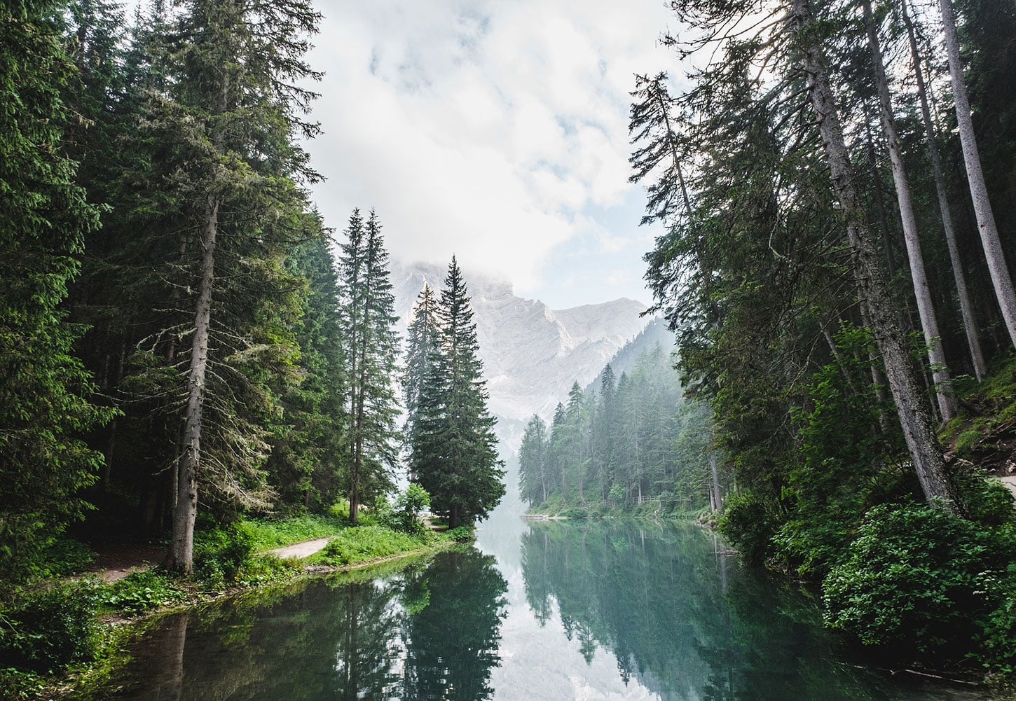 River, forest, and mountain